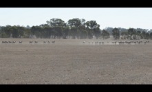  The latest State of the Climate report suggests extreme heat events and an increase in heavy rainfall is likely for Australia. . Picture Mark Saunders.