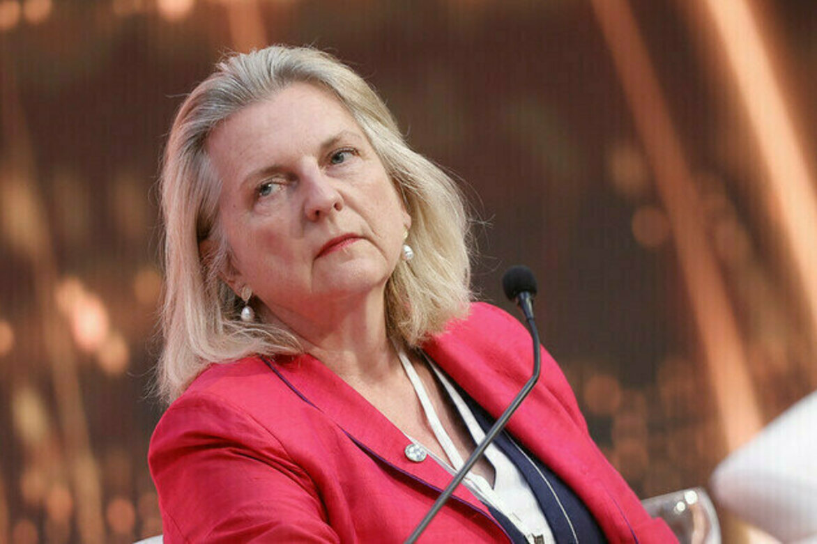 West could be behind Ukraines anti-graft rallies ex-Austrian FM