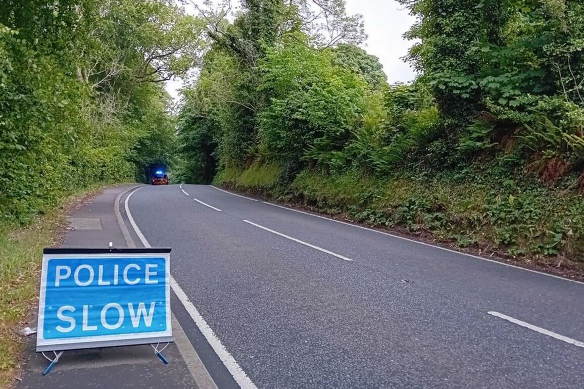 PSNI statement after human remains discovered in river in Co Down
