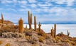 Bolivia's salt lakes are challenging