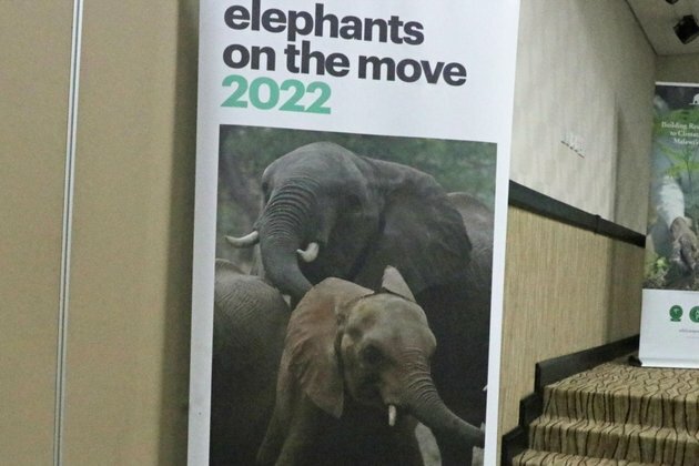 Villagers In Central Malawi Face Attacks from Elephants