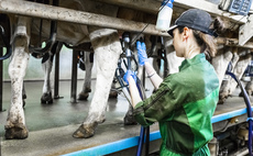 UK Dairy Day: Opening up dairy farm labour talent pools