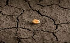 Seed financing fails to germinate 