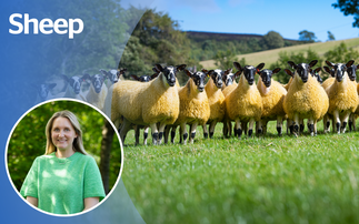 OPINION: I feel 'silly season' may be about to begin 