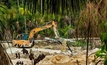  Escavadeira hidráulica em garimpo ilegal na Amazônia/Divulgação