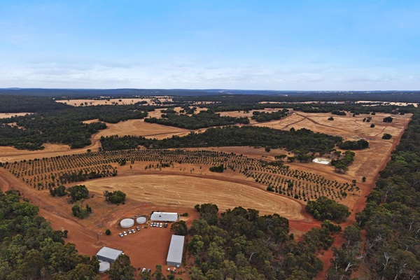 Chalice flags iron ore upside in improved Gonneville flowsheet