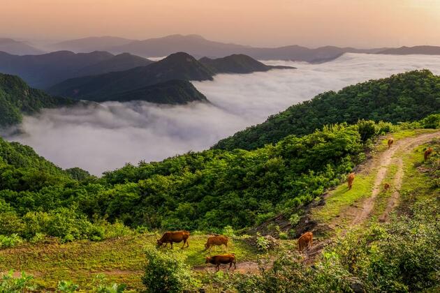 Experts laud China's leadership in promoting ecological civilization