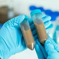 Could faecal transplants cause long-term health problems?