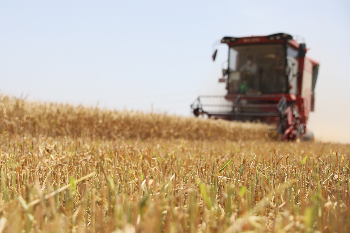 #CHINA-HENAN-WHEAT HARVEST (CN)