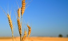 $3m for a WA based Crop Research Hub