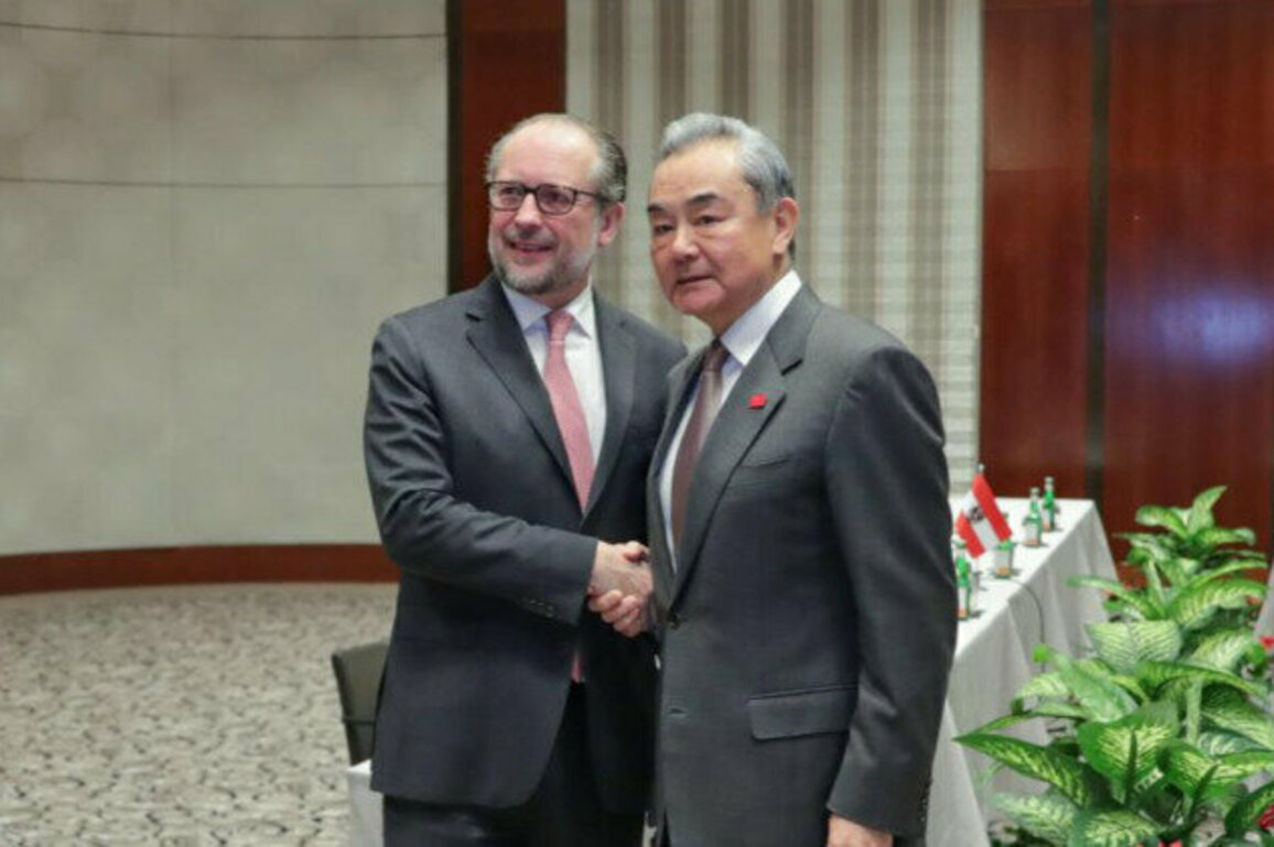 China to work with Austria to uphold multilateralism: FM Wang Yi
