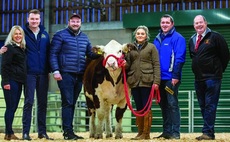 Backbone of Britain: Hereford breeders represent UK down under