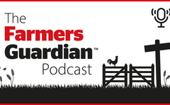 The bluetongue surge: Immediate action now and lessons for the future | The Farmers Guardian Podcast 