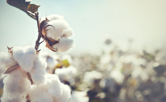 Fashion retailers announce new push to boost traceability in cotton supply chain