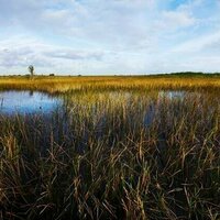 25 years of Everglades restoration has improved drinking water for millions in Florida, but a new risk is rising