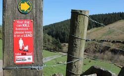 From the editor: "Greater powers needed to deal with incidents of livestock worrying"