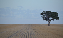 Farming land has continued its steady rise in value according to a Bendigo Bank report. 