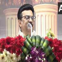 Tamil Nadu Governor's role is a "rubber-stamp post": CM MK Stalin