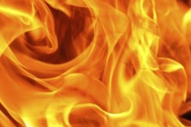 Man dies after setting himself ablaze over Japan sex slave deal