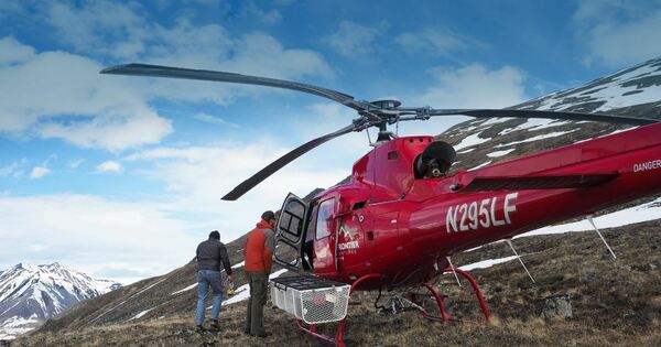 Northern Star punts more cash to PolarX