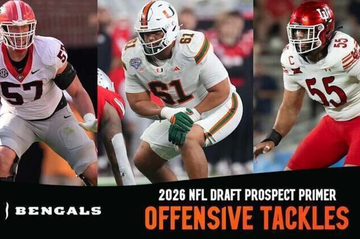 2026 NFL Draft Prospect Primer: Offensive Tackles