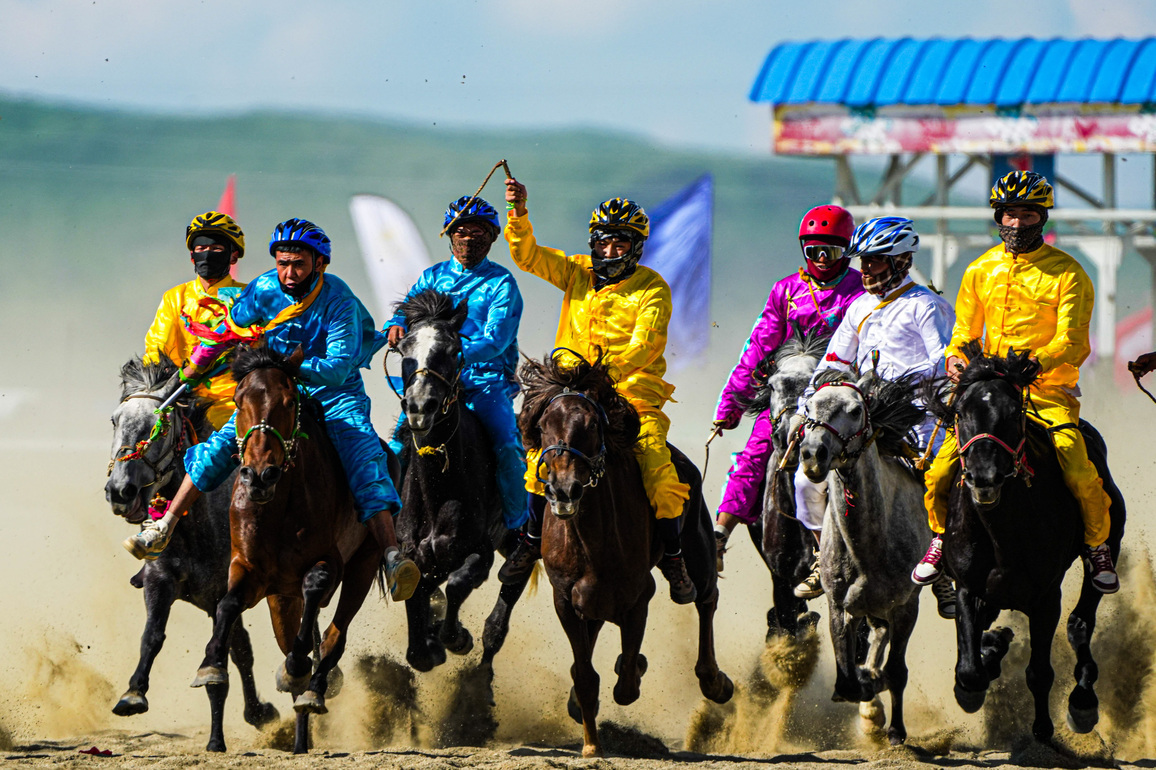 Modern roads pose no challenge to equine culture on China's western plateau