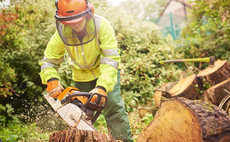 Government invests £1m to grow forestry skills training 