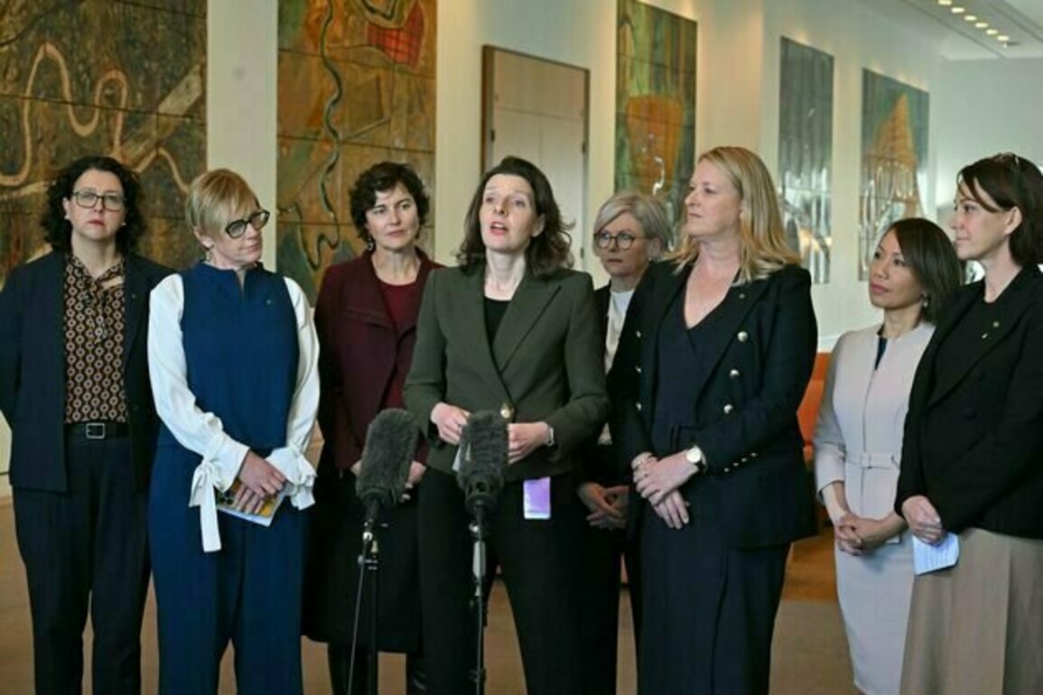 Politics with Michelle Grattan: Tina Jackson on the independents to watch this election