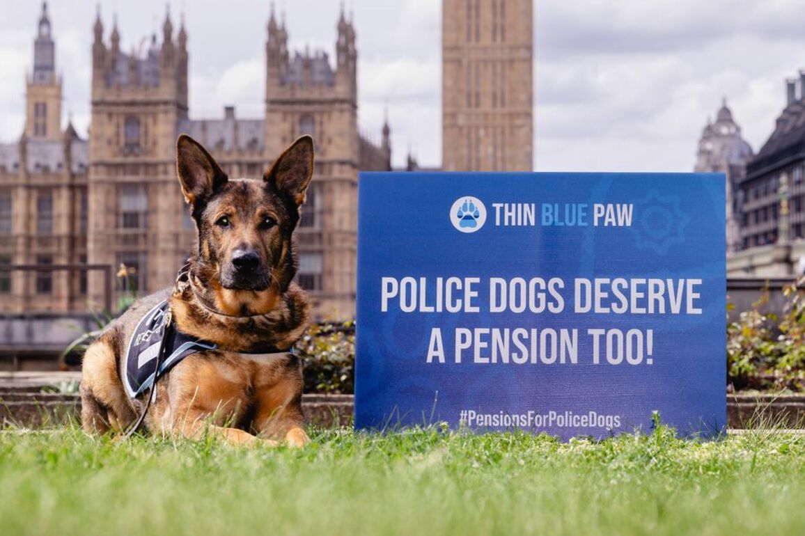 Calls for police dogs to be awarded government pensions when they retire