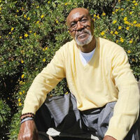 Delroy Lindo reveals involvement with 'Blade' reboot before it went "off the rails"