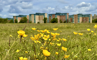 How climate risk is reshaping the built environment