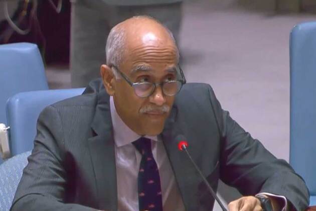 "World witness to supression of basic rights of Kashmiris in PoK": India slams Pakistan at UNSC