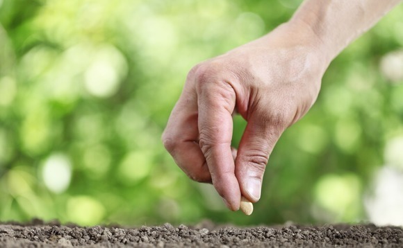 Jungle launches Southeast Asia, India seed programme