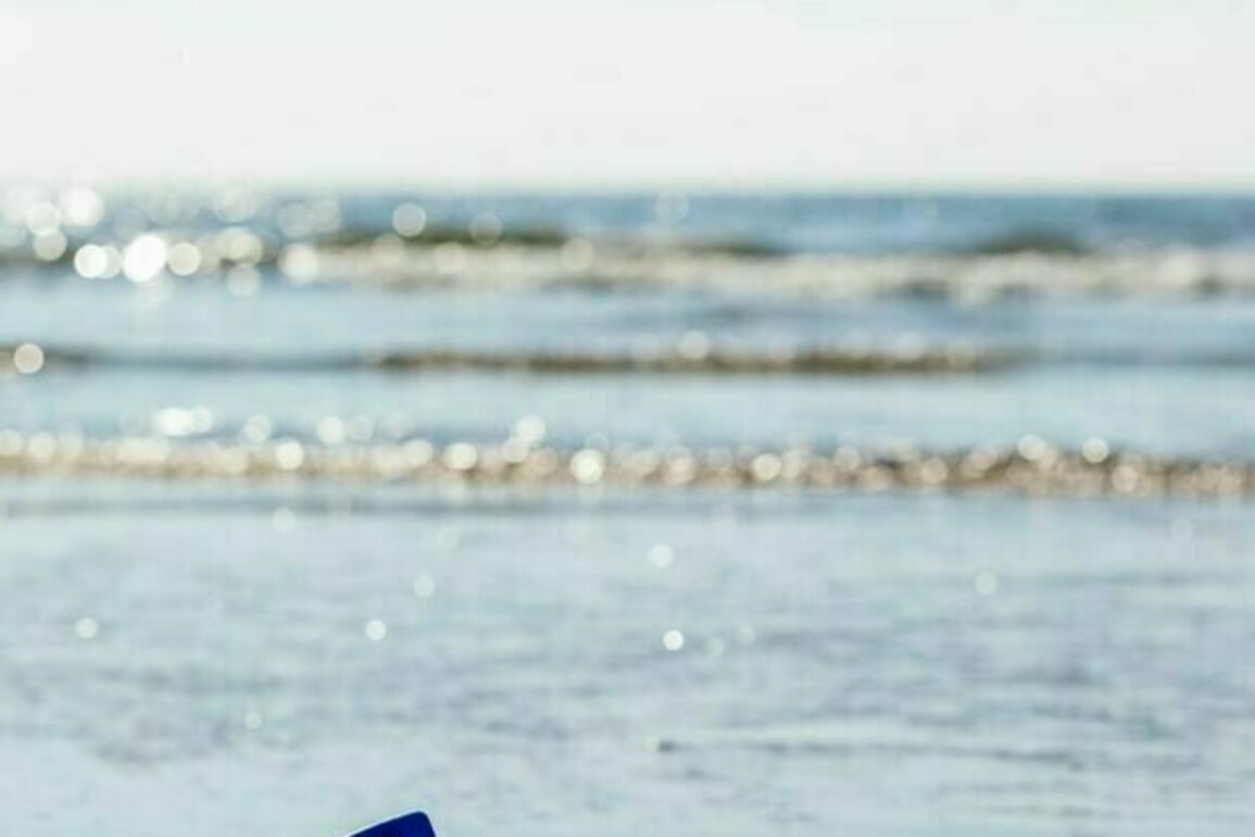 Curious Kids: If you scoop a bucket of water out of the ocean, does it get lower?