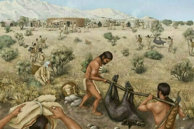 Guests at a feast in Iran's Zagros Mountains 11,000 years ago brought wild boars from all across the land