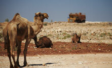 Some of the locals at Newcrest's Telfer mine in a remote part of WA