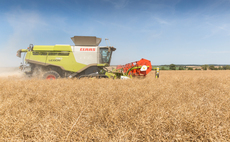 Why vigour and consistency are key traits for OSR success