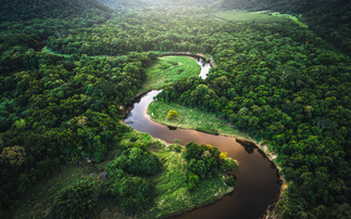 Standard Chartered and Brazilian State of Acre join forces to sell rainforest carbon credits