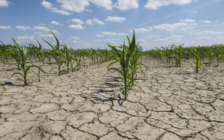 From the editor: Which parts of the country are set to receive some rain is up for debate 