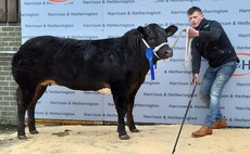 Suckled calves top at 7,000 at Carlisle