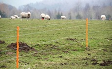 Grass and forage management have a role in reducing emissions