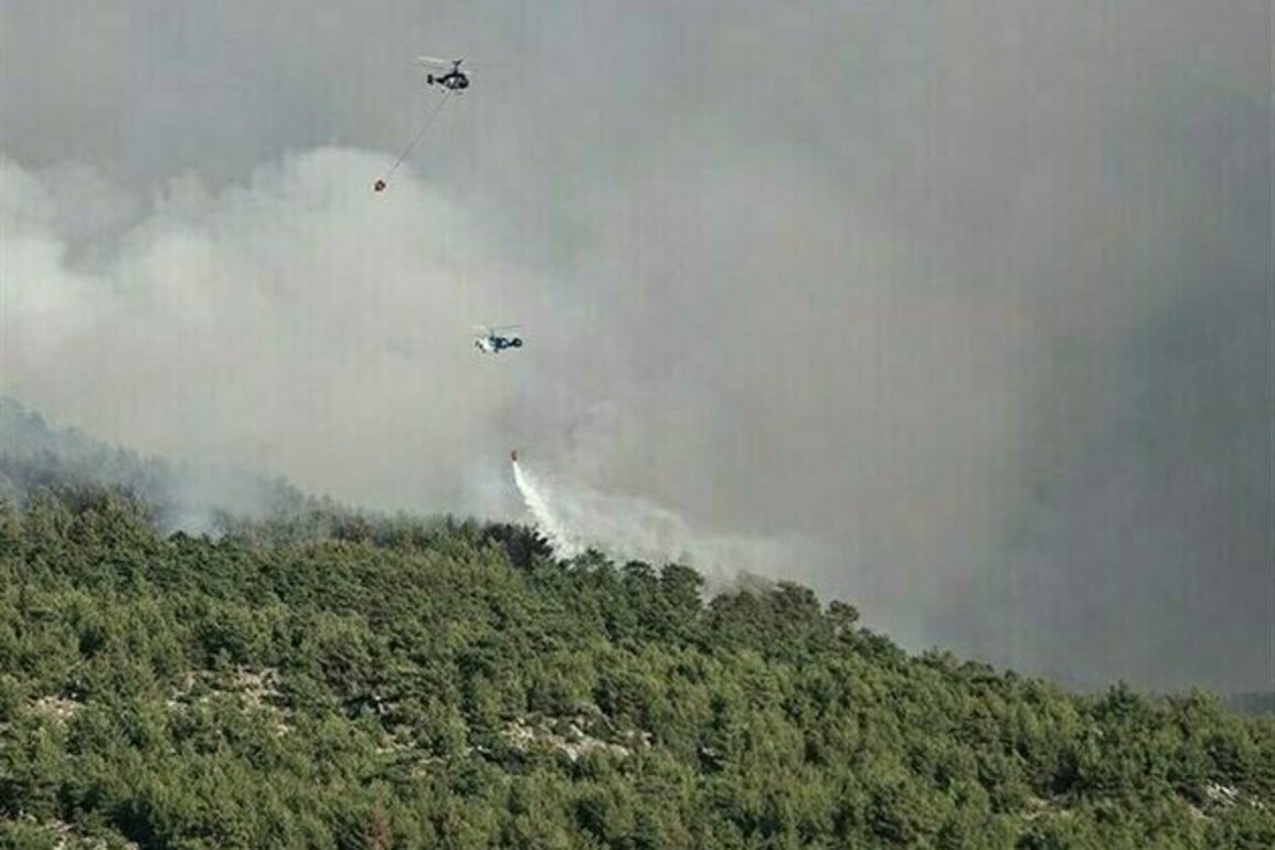 Turkey Wildfires Rage amid Heatwave, Strong Winds