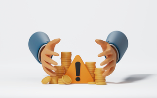 Government must be cautious of DC investment interference