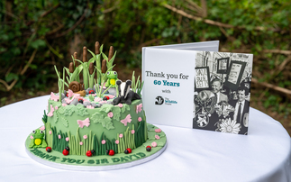 Sir David Attenborough's centenary has presented us all with a fork in the road