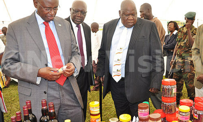 Museveni calls for increased honey production Museveni calls for increased honey production