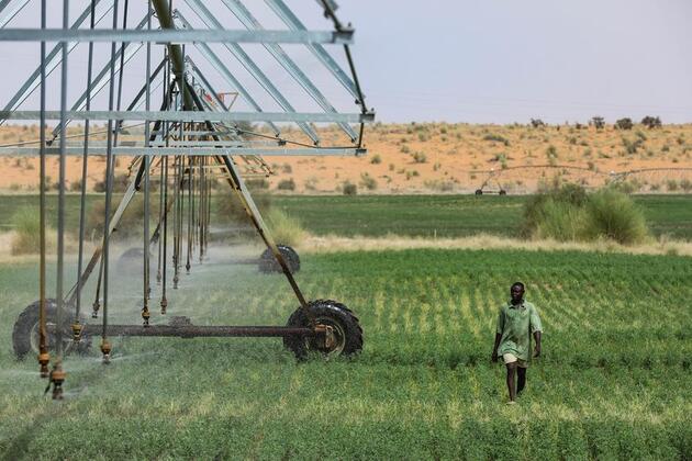 Xiconomics: How Xi's green vision sparks hope for a sustainable world