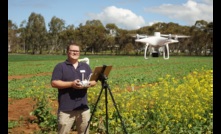  DPIRD research scientist Dr Dustin Severtson is leading a Science Partnership project to examine the use of drones as a tool to assess crops for pest damage. Picture courtesy DPIRD.