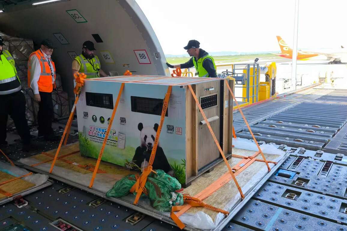 AUSTRIA-VIENNA-CHINA-PANDAS-ARRIVIAL