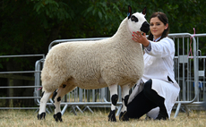 Kerry Hill takes inter-breed sheep title at Burwarton Show