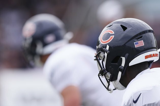 Bears shed light on COVID-19-related issues